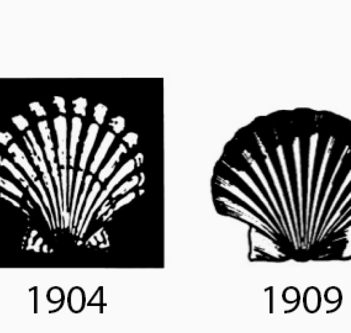 1900 – 1929